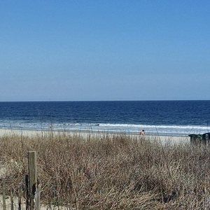 Meet your Posher, Krystal